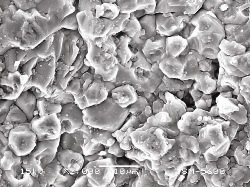 Figure 1 SEM micrograph shows that most of limestone grains are xenomorphic but there are some scattered straight crystal faces. Scale is 10m, indicating a range of some 4-12m, grain size range.